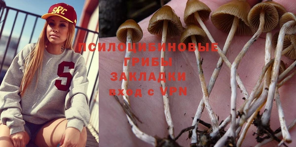 ешки Абаза