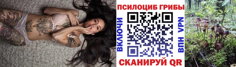 Псилоцибиновые грибы Psilocybe  Инза 